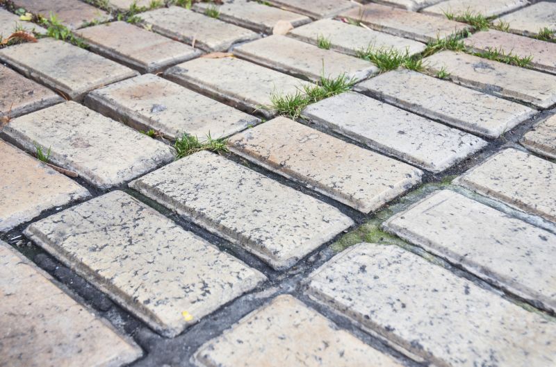 Brick Flatwork Repair in Hernando County, FL