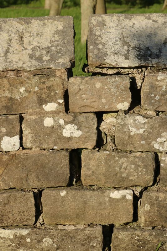 Stone Wall Repair in Port Richey, FL